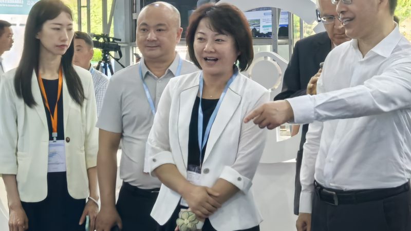 小标题：适用性，是关键